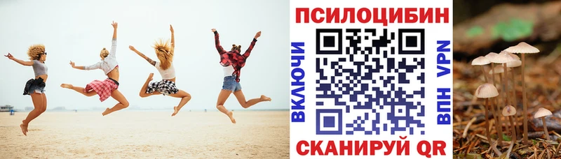 купить  сайты  Ростов-на-Дону  Галлюциногенные грибы мицелий 